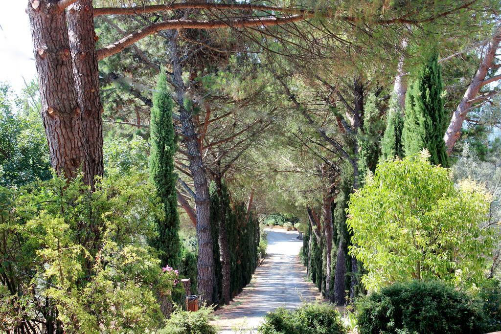 Agriturismo Antico Borgo Poggitazzi Loro Ciuffenna Exterior photo